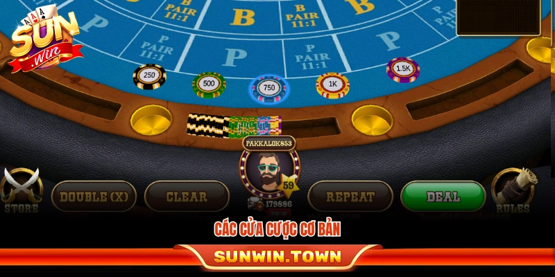 Những loại cửa cược chính trong Baccarat